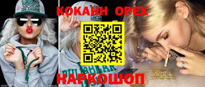 прущие грибы Заводоуковск