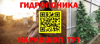 apvp Жуковский