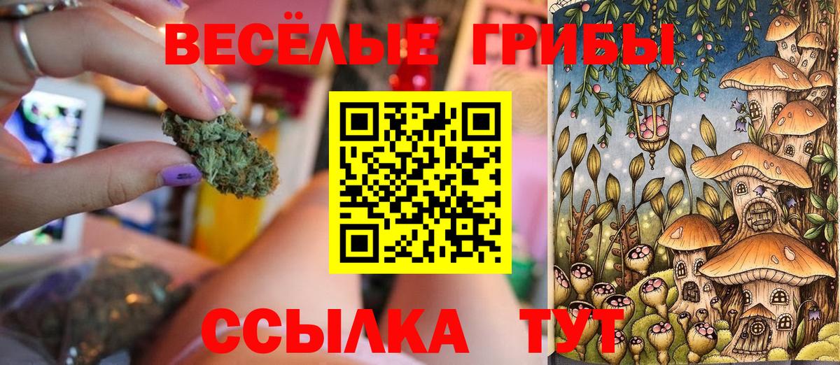 Галлюциногенные грибы Psilocybine cubensis  Галлюциногенные грибы Magic Shrooms  Великий Новгород  Вход с VPN 